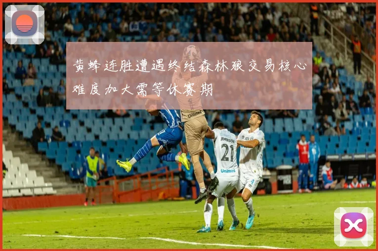 黄蜂连胜遭遇终结森林狼交易核心难度加大需等休赛期