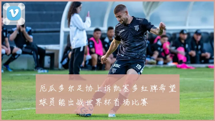 厄瓜多尔足协上诉凯塞多红牌希望球员能出战世界杯首场比赛